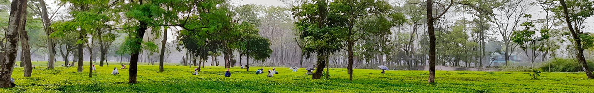 Nagrakata