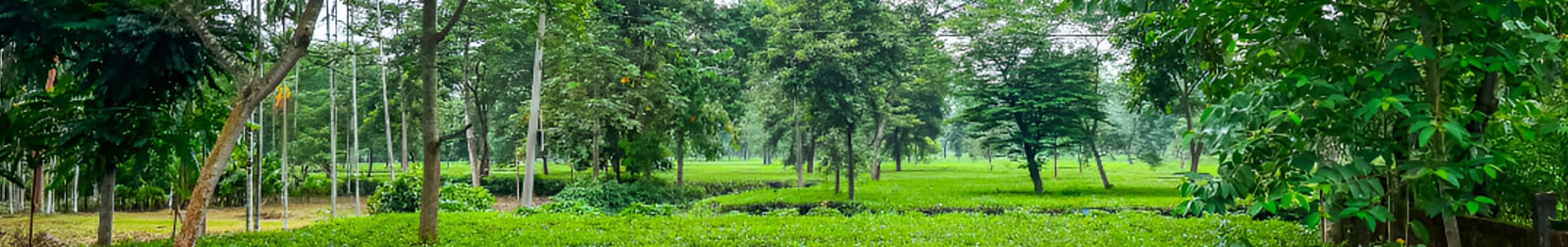 Jaldapara