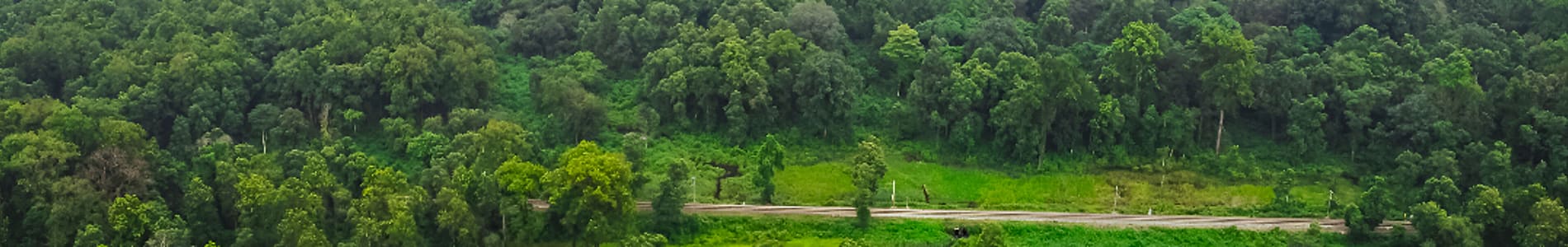 Lataguri