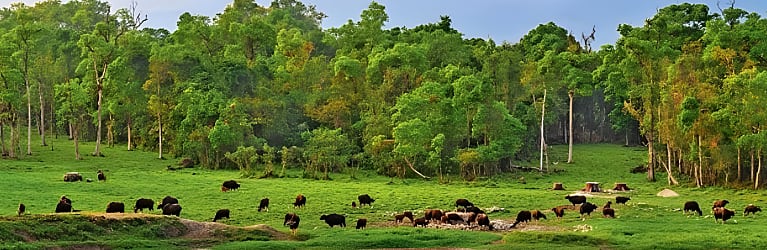 Chapramari