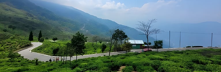 Dawaipani