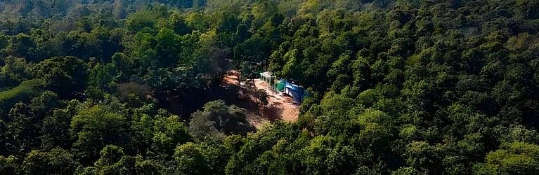 Joypur Forest