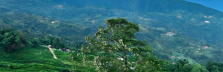 Sherpa Gaon