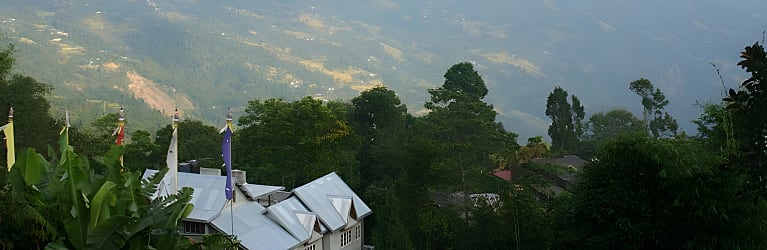 Fikkalygaon