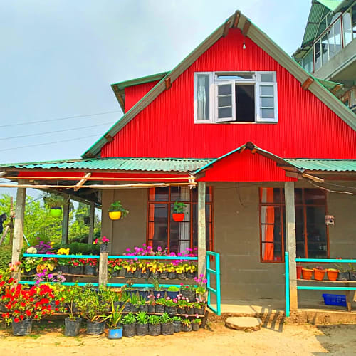 438 Kanchanjungha and tea garden facing hut in Rangaroon