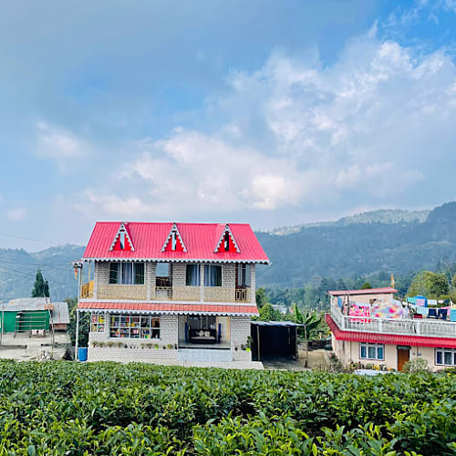 Front View