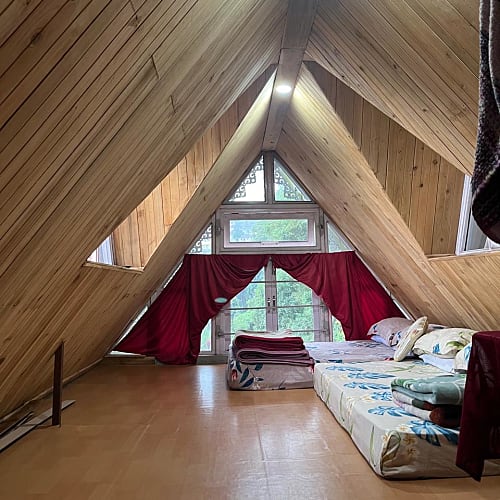 KUR1181 Beautiful Homestay nested in the city