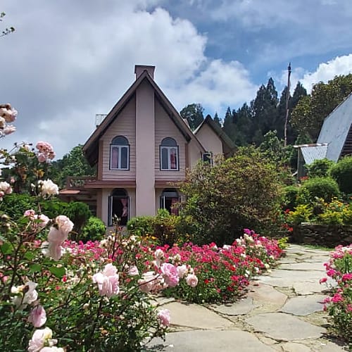 KFG1603 Standard Mountain View Homestay