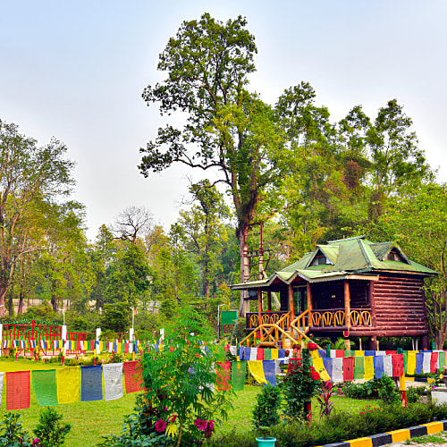 Front Image