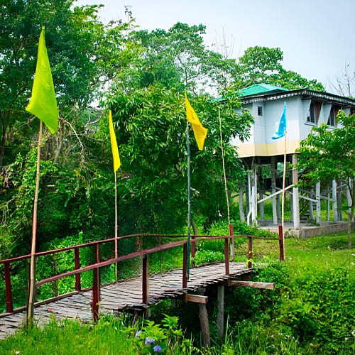 Front Image
