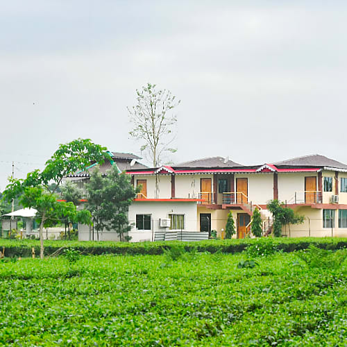 Resort Amidst Lush Greenery