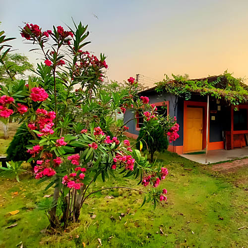 Deluxe Cottage Exterior