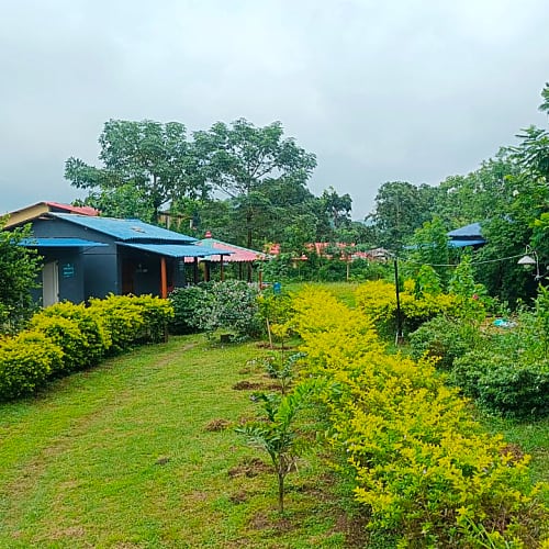 Resort Surrounded With Lush Greenery