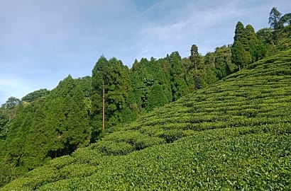 Kamal's Homestay Sittong