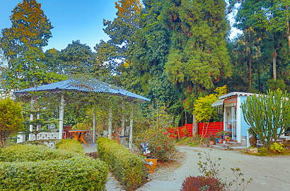 Garden Area