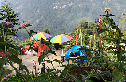 Garden Area