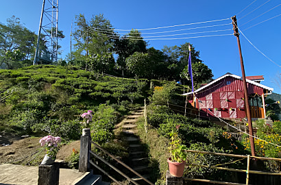 Risheehat Farmstay